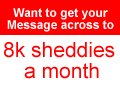 Advertise with shedblog