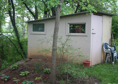 shedrafication shedrafication