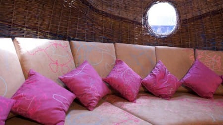 nest2
