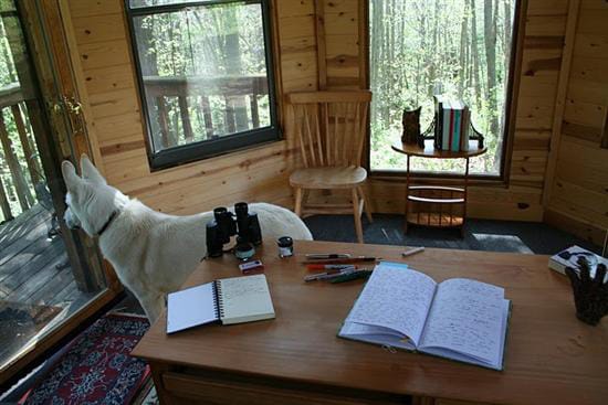 Neil-Gaiman-shed-internal