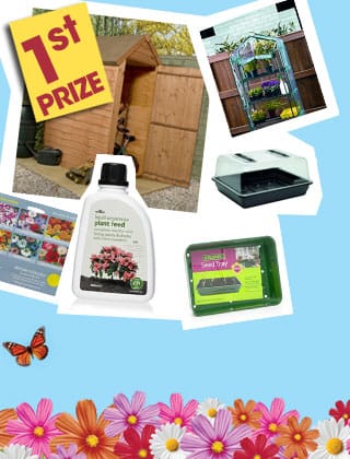 firstprize1