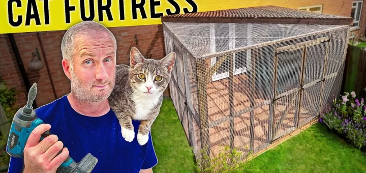cat fortress 1